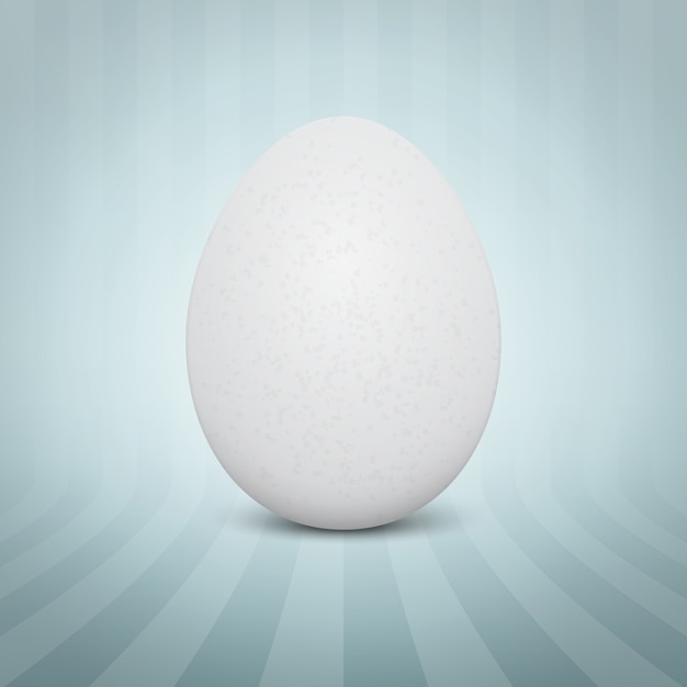 realistic white egg