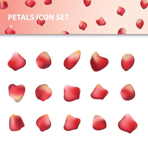 Free Vector red petal icon set