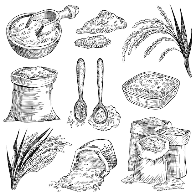 Free Vector rice grain in sacks and bowls sketch set