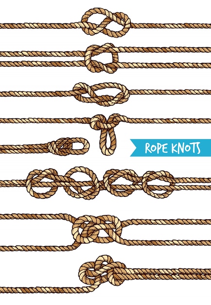 Free Vector rope knots set