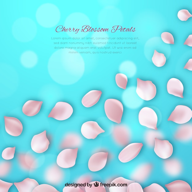 Free Vector sakura petals background