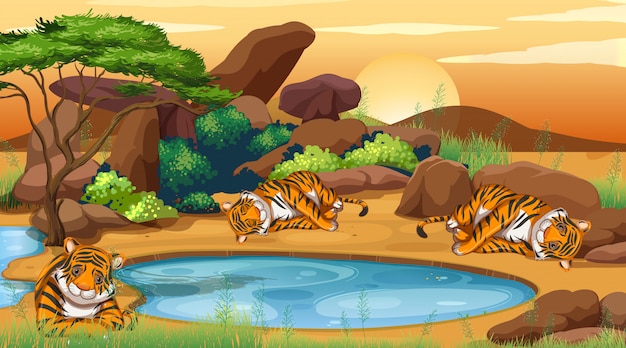 Free Vector scene with tigers sleeping by the pond