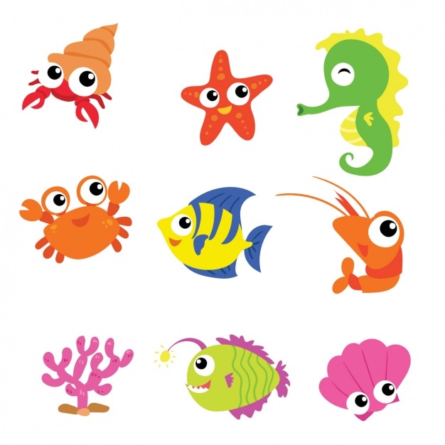 Sea animals collection