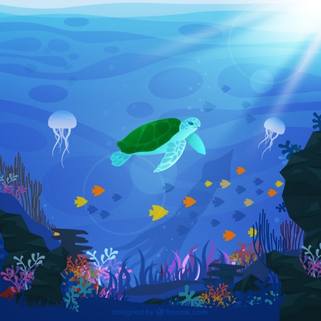 Free Vector sea life background