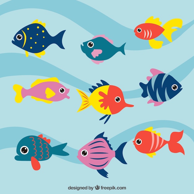 Free Vector sea life