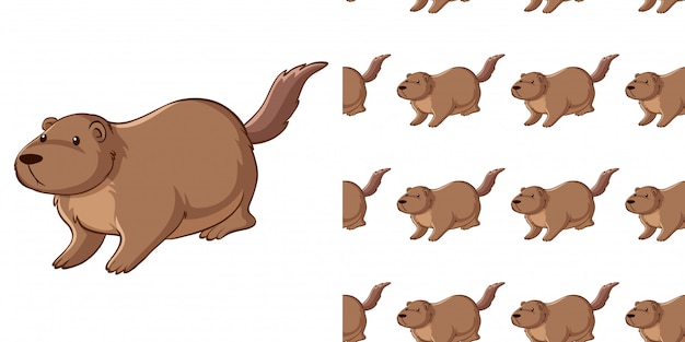 Free Vector seamless pattern with guinea pig