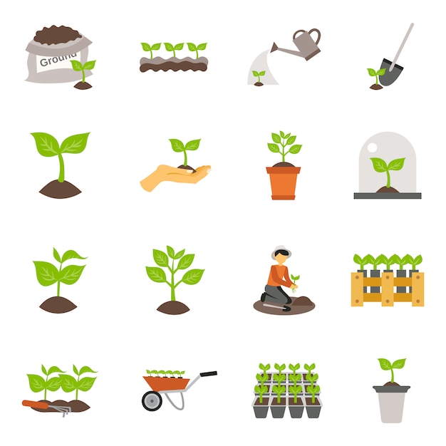 Free vector seedling flat icons set