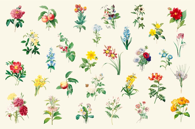 Free Vector set of beautiful blooming wildflowers