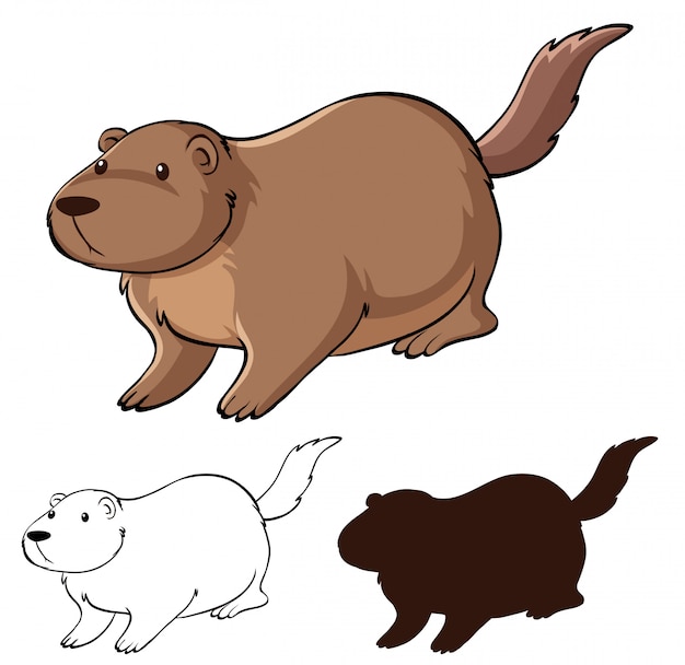 Free Vector set of beaver cartoon