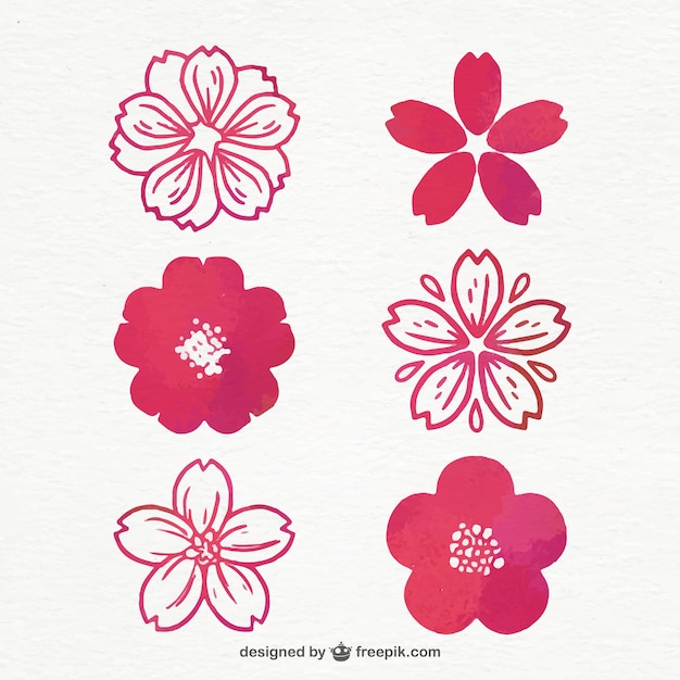 Free vector set of cherry blossoms in purple tones