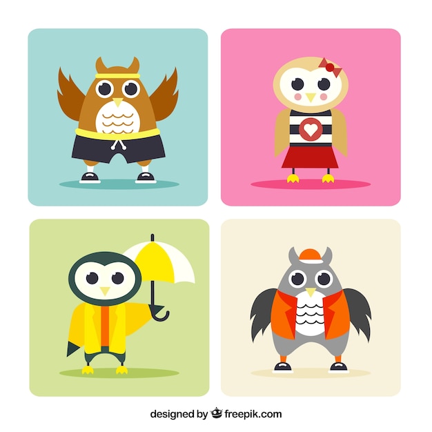 Free Vector set of colorful characters of owls with clothes