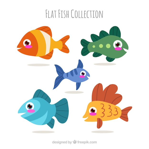 Free vector set of colorful fishes in flat style