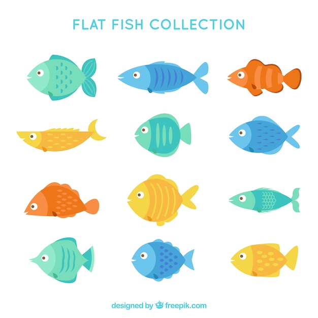 Free Vector set of colorful fishes in flat style