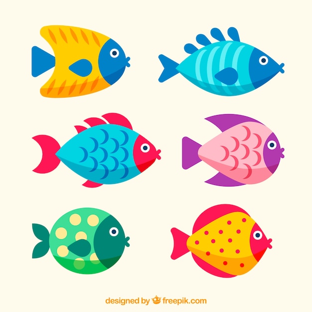 Free Vector set of colorful fishes in flat style