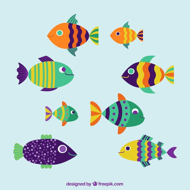 Free Vector set of colorful fishes in flat style