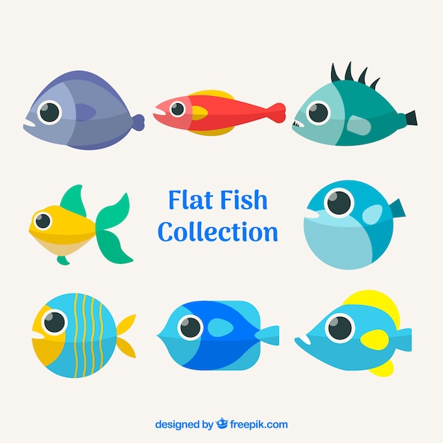 Free vector set of colorful fishes in flat style