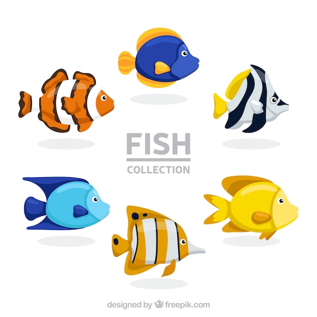 Free Vector set of colorful fishes in hand drawn style