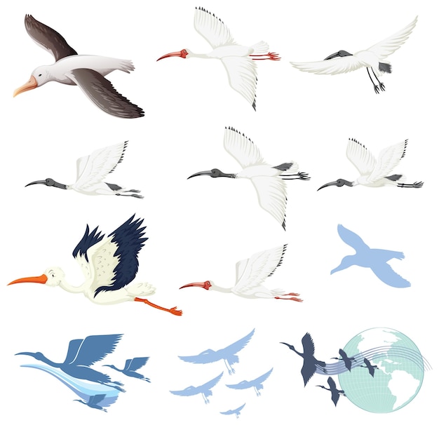 Free Vector set of different bird cartoon characters