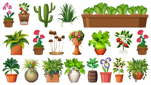 Free vector set of different plants in pots isolated on white