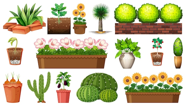 Free vector set of different plants in pots isolated on white