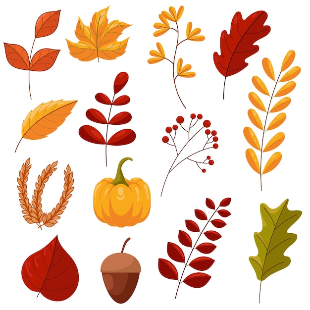 Free Vector set of element autumn collection