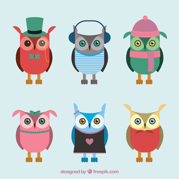 Set of flat owls with variety of accessories