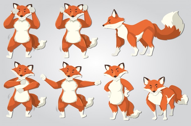 Free vector set of fox dance