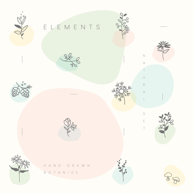 Free Vector set of hand drawn botanical elements vector