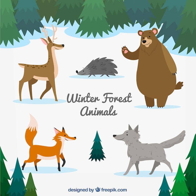 Set of hand drawn forest animals