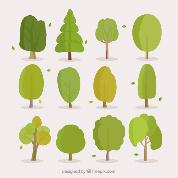 Free Vector set of leaves and leaves