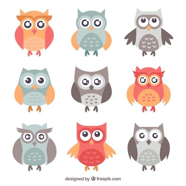 Free Vector set of lovely owls in flat design