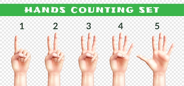 Free Vector set of men hands counting from one to five isolated on transparent  realistic