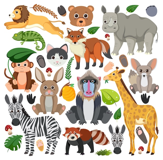 Free Vector set of mix animal character