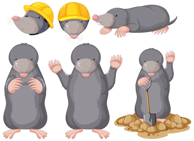 Free Vector set of moles cartoon character