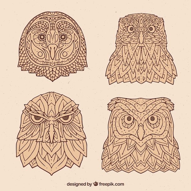 Free Vector set of owls in ethnic style