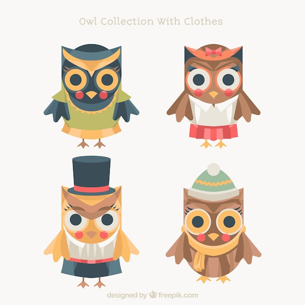 Set of owls in flat design with accessories