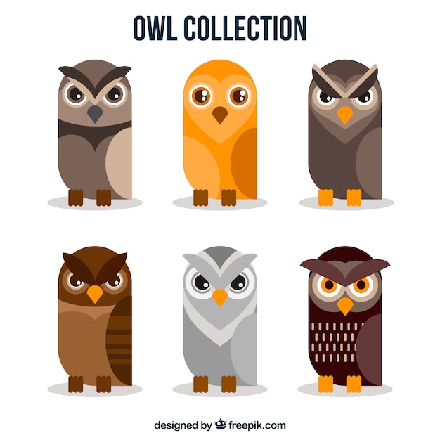 Free Vector set of owls in flat design