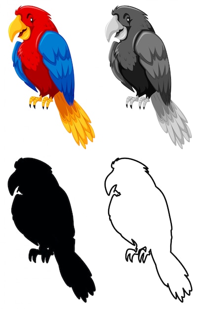 Free Vector set of parrot character