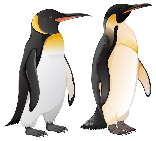 Set of penguins in different species