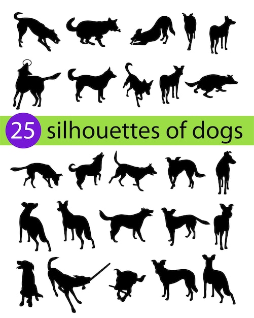 Set of pet dog silhouettes dog playing jumping and walking