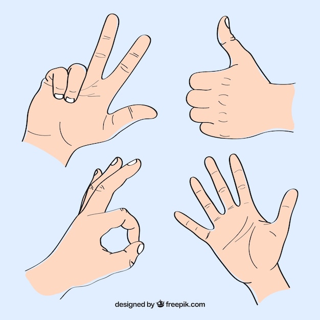 Free Vector set of sign language