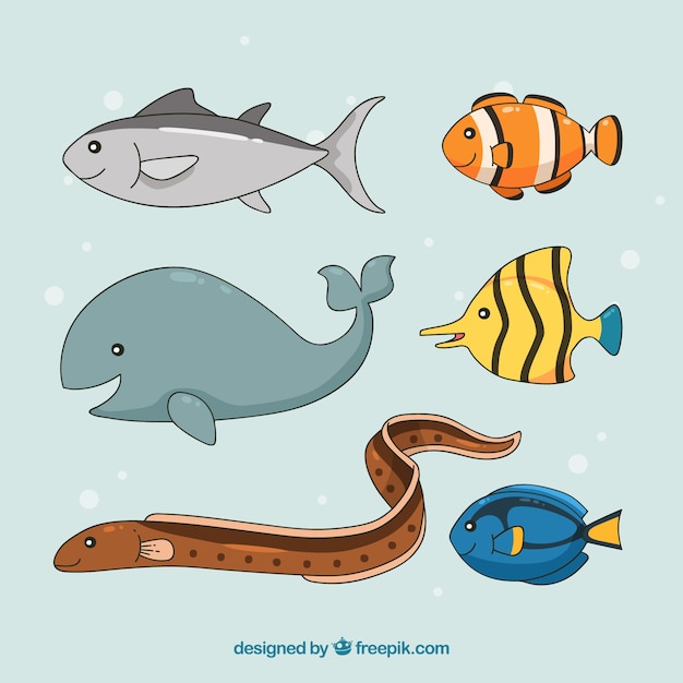 Set of six fish