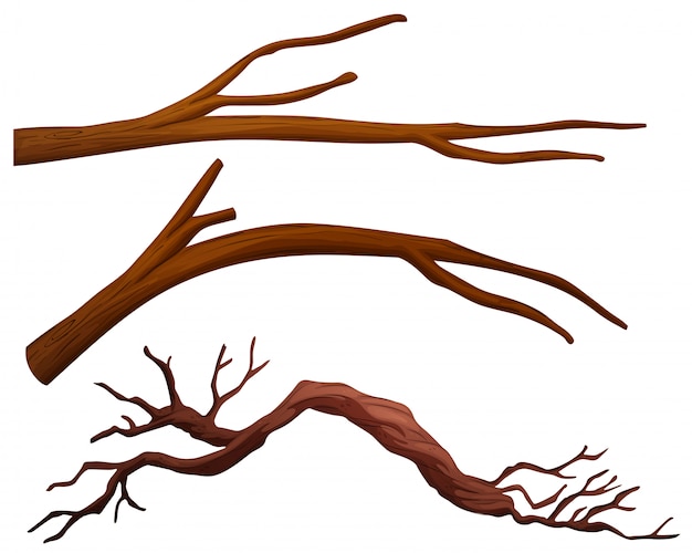 Free Vector a set of tree branch