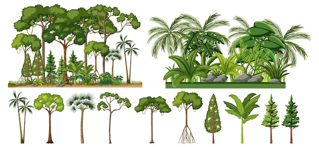 Free Vector set of tropical trees isolated