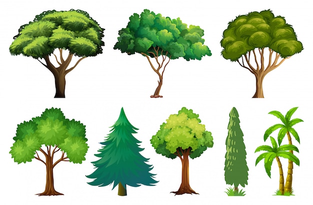 Set of variety plants and trees