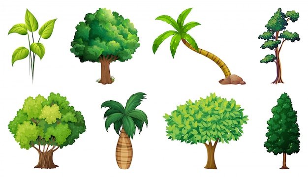 Free Vector set of variety plants and trees