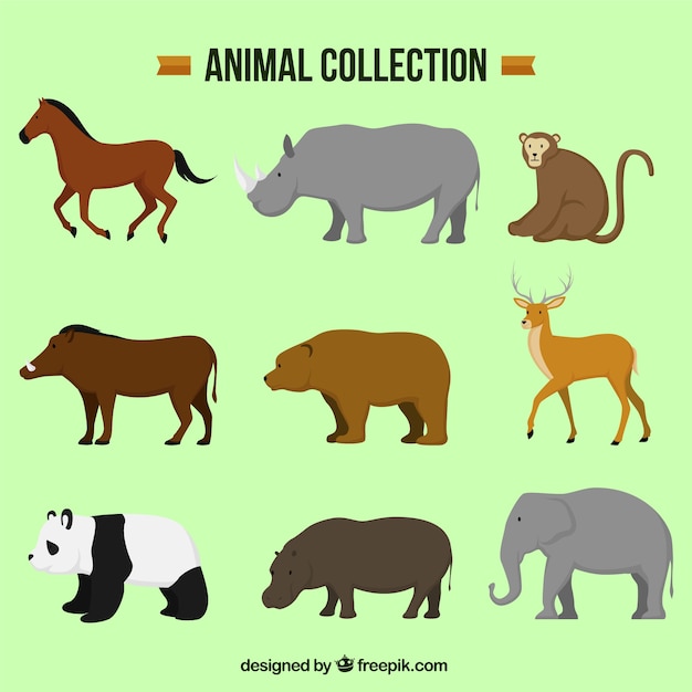 Several decorative animals in flat design