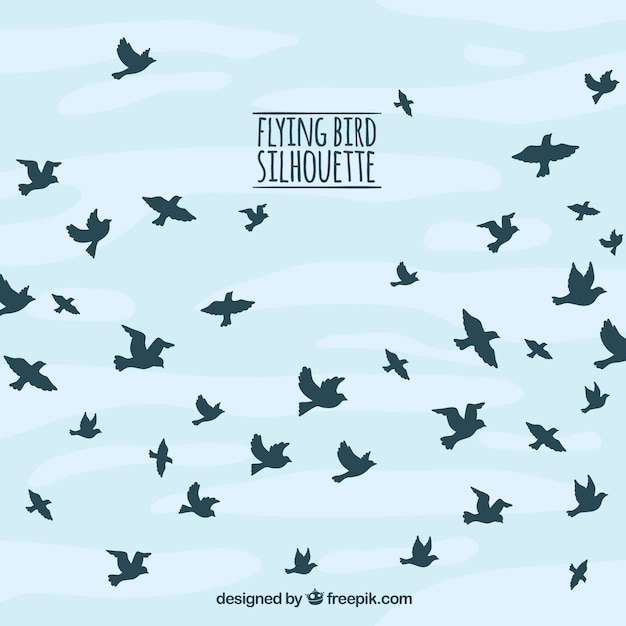 Silhouette flying bird background