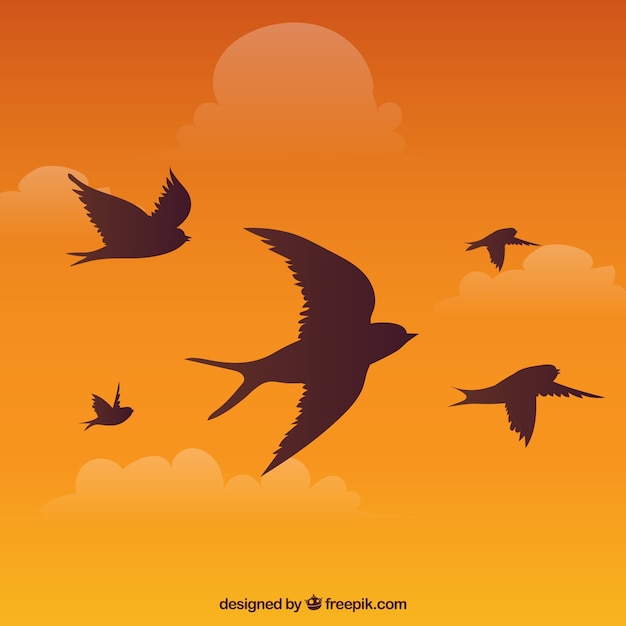 Free vector silhouette flying bird background