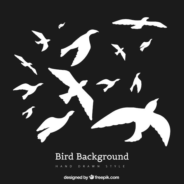 Free vector silhouette flying bird background